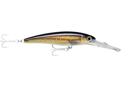 RAPALA X-RAP® MAGNUM